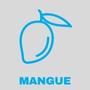 Goût : Mangue