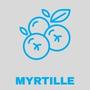 Goût : Myrtille