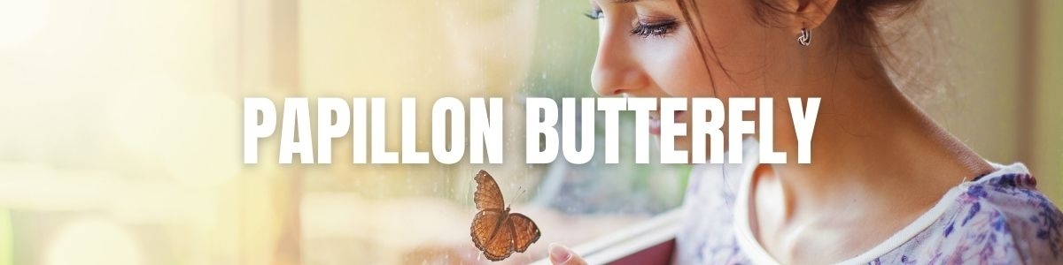 Les Vibromasseurs Papillon ou "Butterfly" - N°1 en France