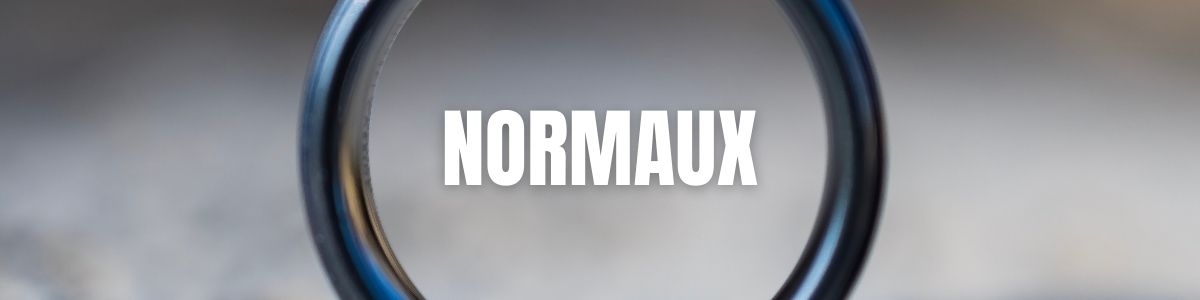 Anneaux péniens normaux - Le sextoy le moins cher dès 2,90€