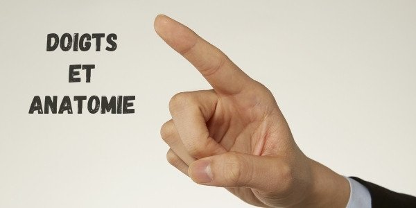 La distance du début de la paume à la fin du majeur