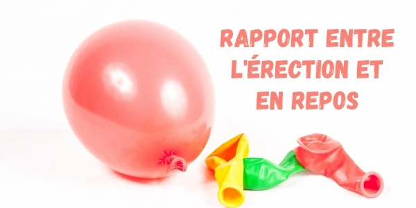 Le rapport entre la taille en érection et au repos